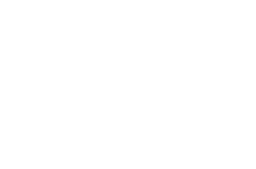 POWERBELT BULLETS
