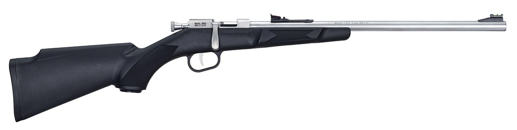 MINI BOLT 22LR SS/SYN        #