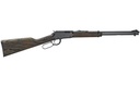 HENRY H001GG GARDEN GUN SMOOTHBORE FULL SIZE 22 LR/SHOTSHELL 15+1 18.50" SMOOTH BORE BARREL, BLACK METAL FINISH, BLACK ASH STOCK RIGHT HAND
