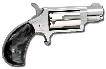 MINI 22MAG REV 1-1/8 SS BLKPRL