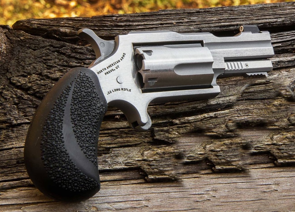 22MAG 2" BUGOUT II SS XS SGHT#