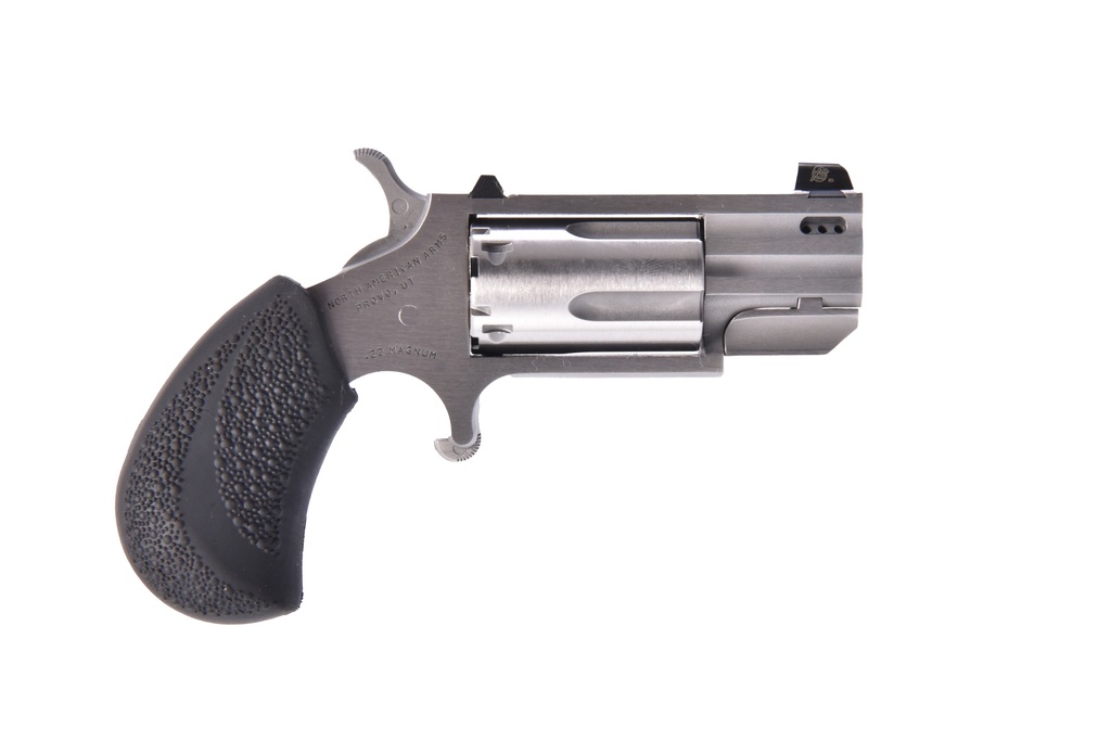 PUG 22MAG/22LR 1" PRTD CONV NS