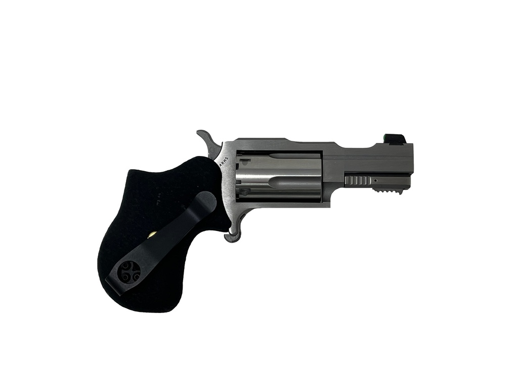 22MAG 1-5/8" RULE 1 SS XS SGHT