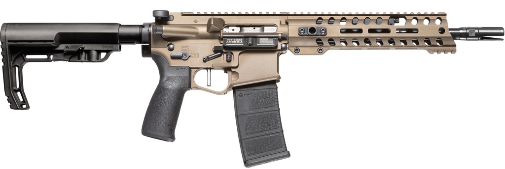 RENEGADE+ DI SBR 556 10.5" BRZ