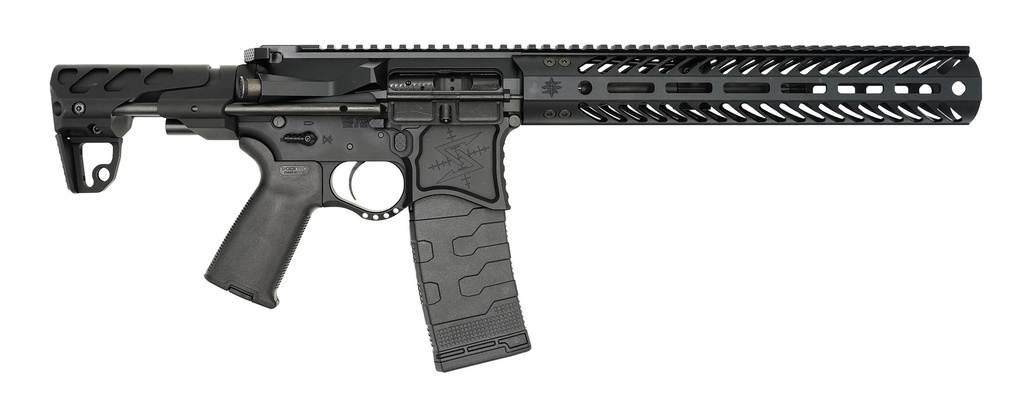 SBR8 300BLK BLK 30+1 8"