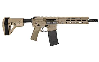 DIA DB1984B061  300BO DB15 10       30R*BRACE* FDE