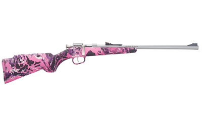 HENRY H005R MINI BOLT  YOUTH 22 S/L/LR 1RD 16.25" MATTE STAINLESS STEEL BARREL, MATTE DRILLED & TAPPED STAINLESS STEEL RECEIVER, BLACK FIXED W/PISTOL GRIP SYNTHETIC STOCK, RIGHT HAND