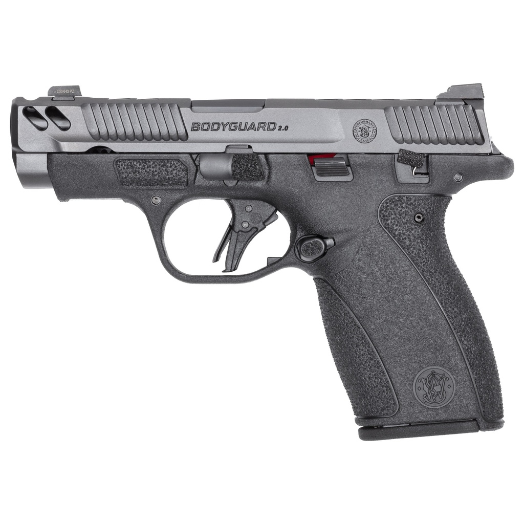 S&W BODYGRD 2.0 PC 14418 380 3.1     2X10R GRY/BLK