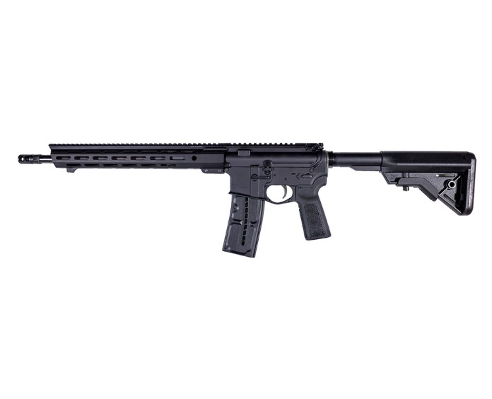 FRANKLIN ARMORY 0010062BLK F17 L 17 WSM 10+1 16" BLACK PRECISION BARREL, BLACK ALUMINUM W/M-LOK & PICATINNY RAIL RECEIVER, BLACK ADJUSTABLE B5 BRAVO STOCK