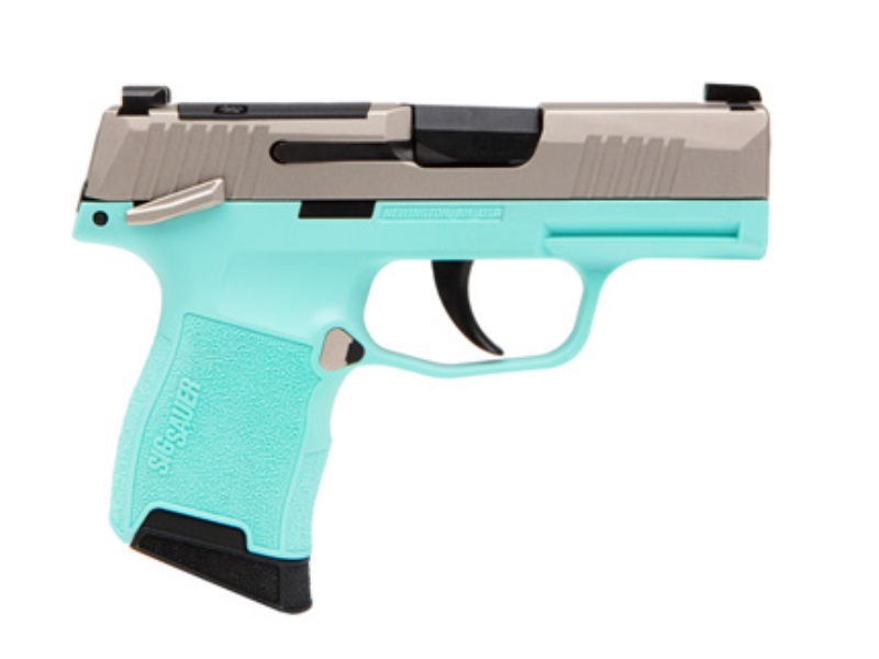 SIG 365380REBMS         P365 380 XR3MS 3.1 10R TRQ