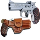 BOND ARMS PT2A PROTECT THE 2ND AMENDMENT DERRINGER SINGLE 45 COLT (LC)/410 GAUGE 4.25" 2 ROUND STAINLESS STEEL