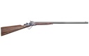 CHIAPPA LITTLE SHARPS 22WMR 24" WD
