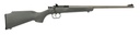 CRICKETT 22LR SS/GRY