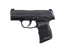 P365 380ACP BLK 10+1 NS SFTY