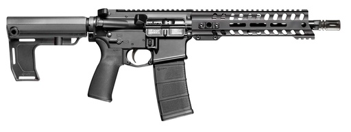 [847313022950] PATRIOT ORDNANCE FACTORY 2295 P15 CONSTABLE 300 BLACKOUT 30+1 10.50" M-LOK HANDGUARD, BLACK ANODIZED ALUMINUM RECEIVER W/PICATINNY RAIL, BLACK POLYMER MFT BLADE STABILIZER, MFT GRIP